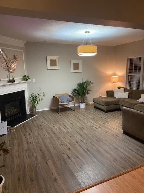 Living room pendant lighting and outlets