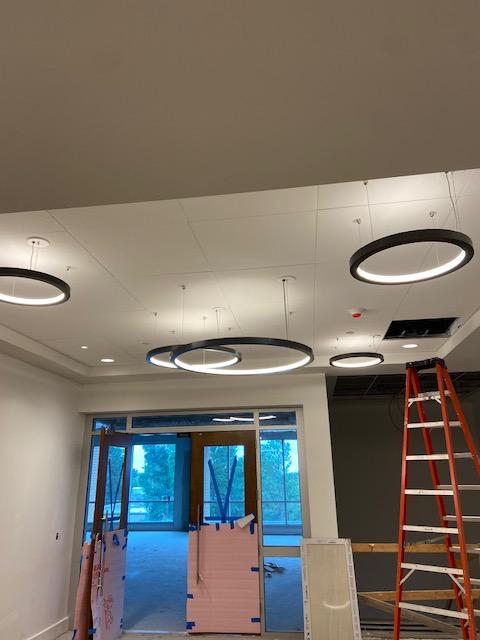 Modern ring pendant lighting installation